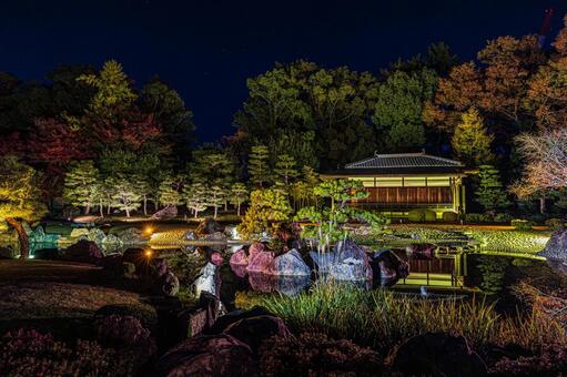 紅葉風景 紅葉風景,京都,二条城の写真素材