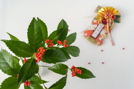 お正月花の千両としめ飾り お正月花の千両としめ飾り 千両,切り花,しめ飾りの写真素材