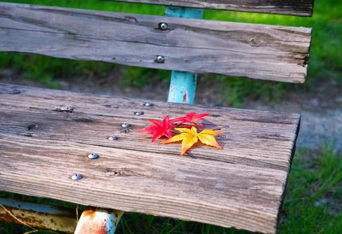 ベンチの紅葉 ベンチの紅葉 ベンチ,紅葉,公園の写真素材