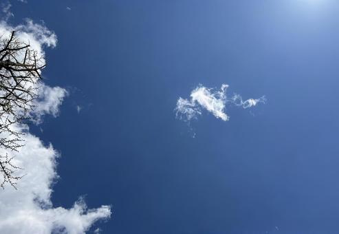 そらくも5 そらくも5の写真