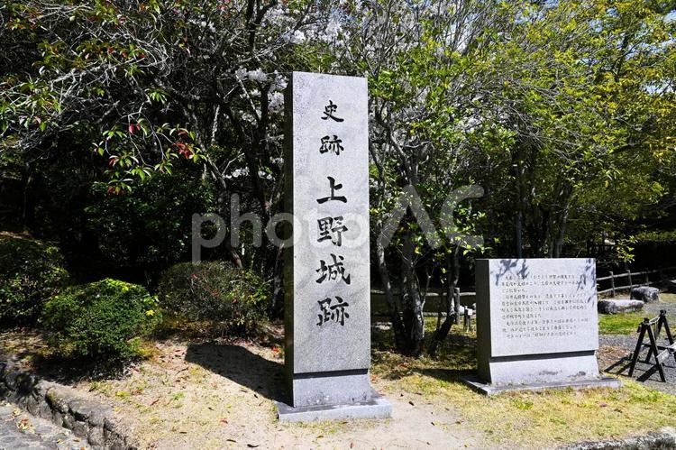 伊賀上野城の石標 三重県伊賀市  伊賀,伊賀市,上野城の写真素材