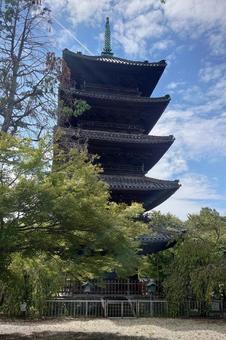 愛知県-興正寺-五重塔 愛知県-興正寺-五重塔 興正寺,寺,八事山の写真素材