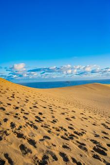 鳥取県　鳥取砂丘の風景 鳥取砂丘,日本の風景,自然の写真素材