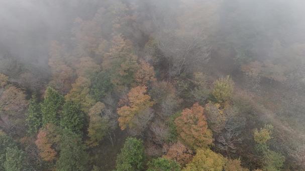 霧の中の山頂001 霧,朝,山の写真素材