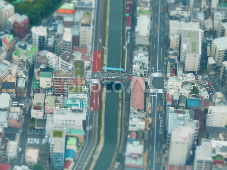 ミニチュアのような東京の街並み2 東京,街並み,都市景観の写真素材