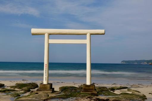 鵜原海岸 鵜原海岸 晴れ,風景,ビーチの写真素材