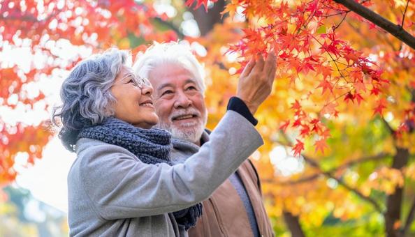 紅葉狩り 紅葉を眺めるシニア夫婦の横顔 紅葉狩り 紅葉を眺めるシニア夫婦の横顔の写真