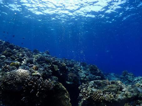 沖縄の海の写真