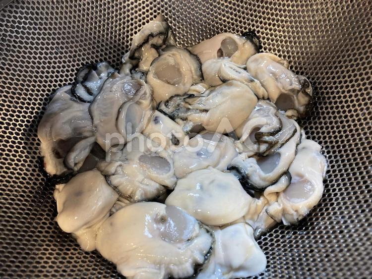 ざるに揚げた生牡蠣 貝,魚貝類,貝類の写真素材