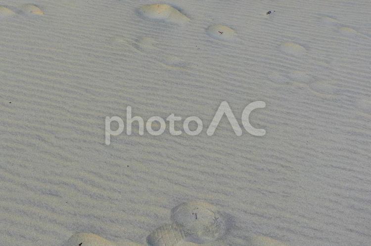 篠島_砂浜 砂浜,篠島,愛知県の写真素材