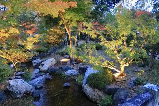 秋の庭園と紅葉 秋の庭園と紅葉 紅葉,癒し紅葉,秋の写真素材