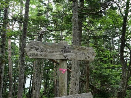 赤岳 真教寺尾根の登山道 赤岳 真教寺尾根の登山道 赤岳,八ヶ岳,真教寺尾根の写真素材