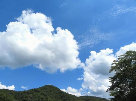 夏の風景 夏の風景の写真