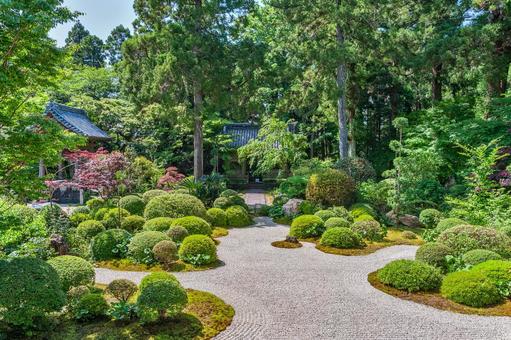 浜松市 井伊谷 龍潭寺の前庭（静岡） 日本の風景,静岡県,浜松市の写真素材