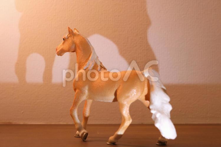 シュライヒ　下からライトアップされた立つ馬のフィギュアと柔らかな影 シュライヒ,シュライヒフィギュア,馬の写真素材