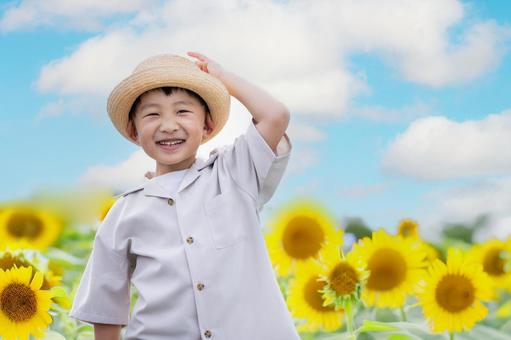 ひまわり畑と笑顔の子ども ひまわり畑,子ども,笑顔の写真素材