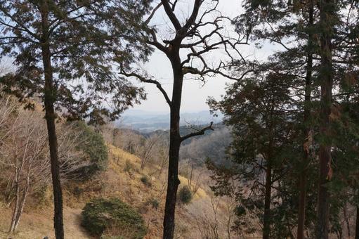 山の景色 山の景色の写真