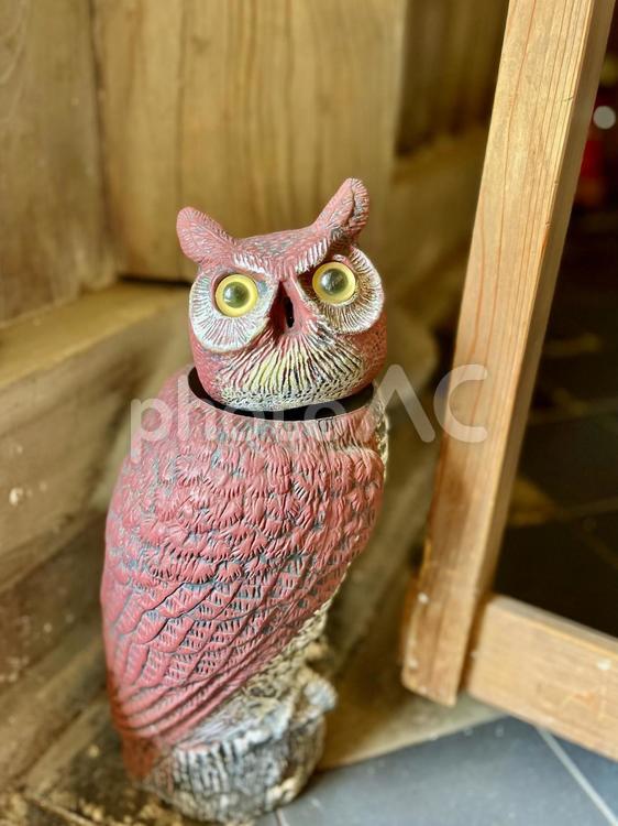 ふくろうの置物 ふくろう,置物,鳥の写真素材