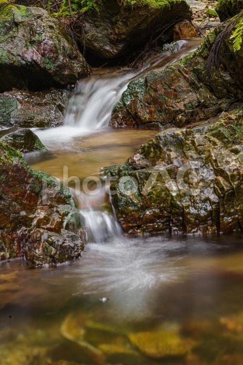 渓谷の清流の流れる小川 自然,風景,水の写真素材