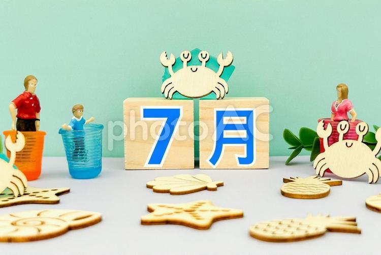 7月　水辺でカニと戯れる家族 7月,夏休み,夏の写真素材