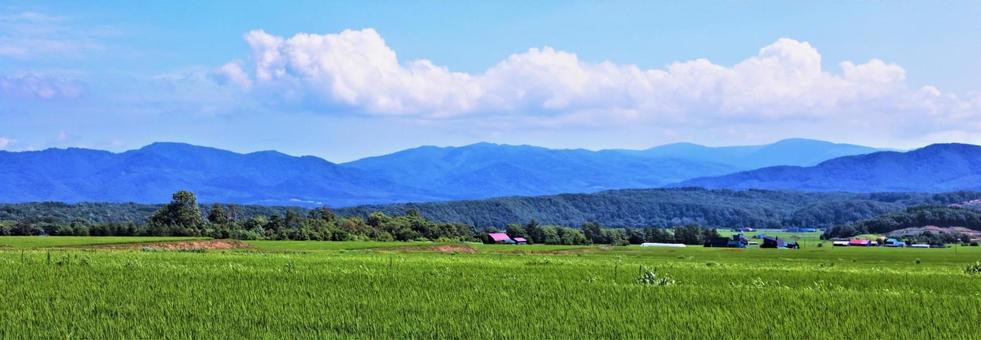 北海道 田園風景 夏空 北海道 田園風景 夏空 北海道,夏,田園風景の写真素材