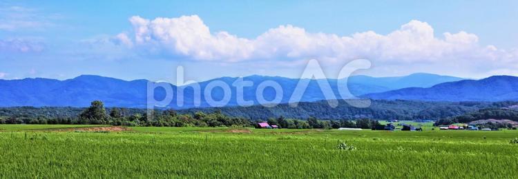北海道　田園風景  夏空 北海道,夏,田園風景の写真素材