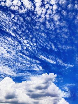 夏空 夏空の写真