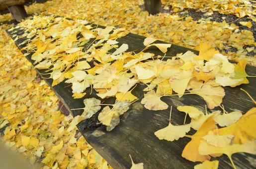 浄智寺の銀杏の写真