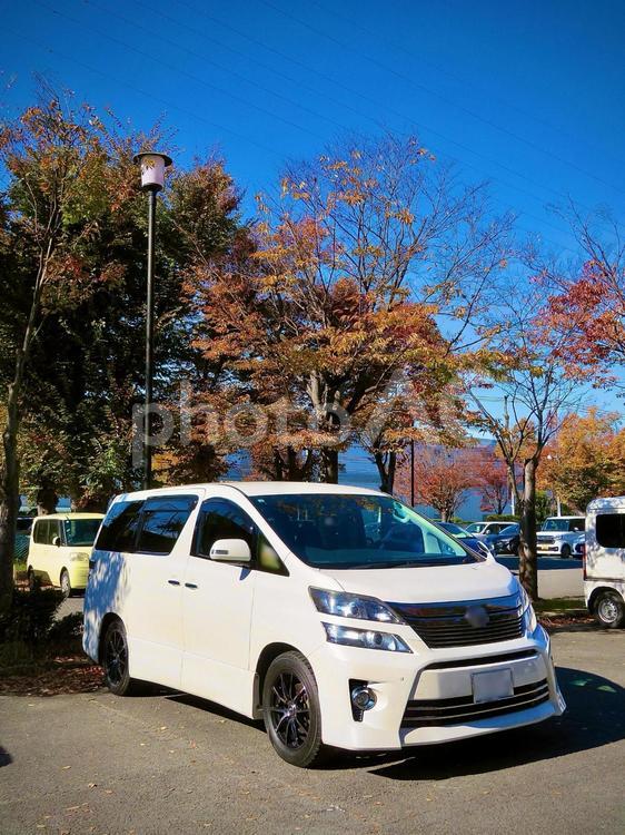 紅葉とヴェルファイア 車,乗用車,ヴェルファイアの写真素材