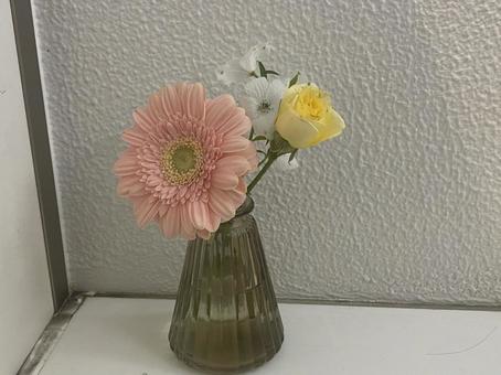 Photo, flower, vase, interior, 