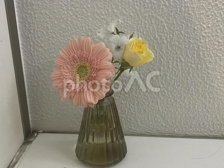 花瓶に刺した花　ピンクの花　飾り花 花,花瓶,vaseの写真素材