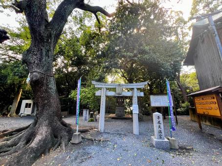 平尾天満宮 平尾天満宮 平尾八幡宮,平尾,福岡市の写真素材