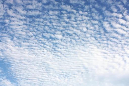 Photo, sky, blue, cloud, 