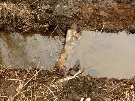 水流を抑える用水路の段差部分 川,河川,水の写真素材