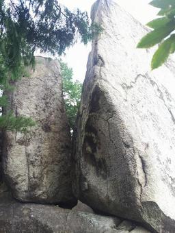 八丈岩 八丈岩の写真