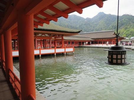 厳島神社 厳島神社の写真