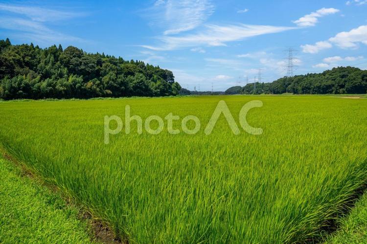 田園風景 田園風景,田舎,田舎暮らしの写真素材