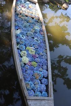 花の舟 花の舟の写真