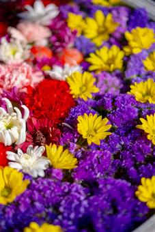 彩り豊かな花々の写真