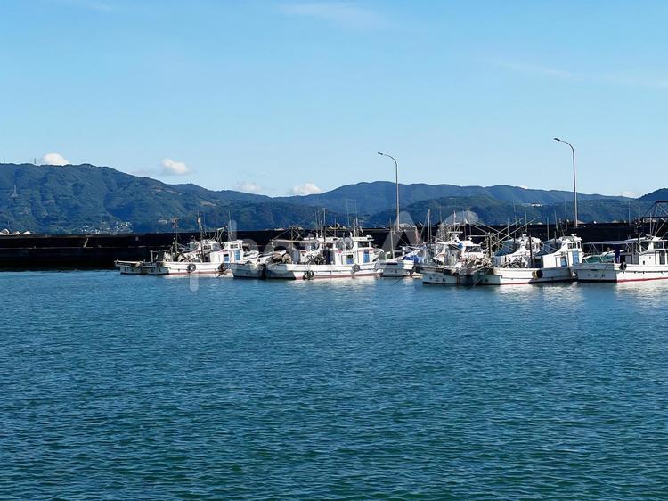 ７月の和歌山県　和歌浦漁港 ボート,海,水の写真素材