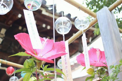 おふさ観音風鈴まつり おふさ観音風鈴まつりの写真