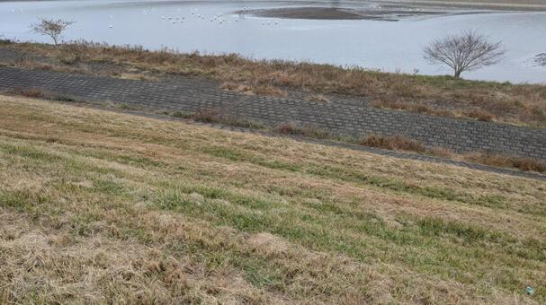 河川敷の風景 河川敷,川,河川の写真素材