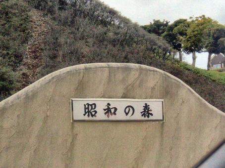 昭和の森-1 昭和の森-1 昭和の森,公園,千葉県千葉市緑区の写真素材