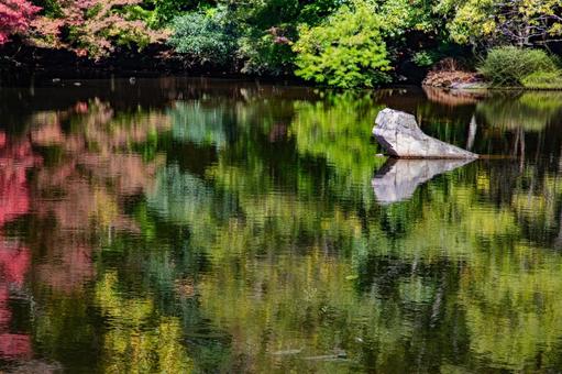 Photo, autumn, pool, autumn leaves, 