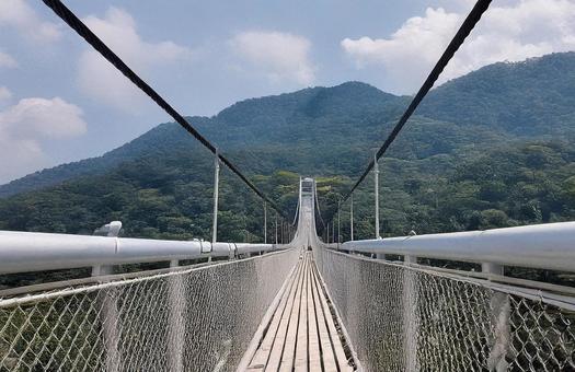 橋 橋の写真