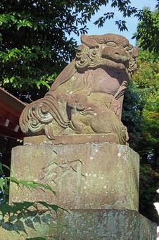 青渭神社(調布) 青渭神社(調布) 青渭神社,武蔵国多摩郡八座,青渭大神の写真素材