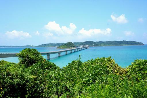山口県角島大橋 山口県角島大橋の写真