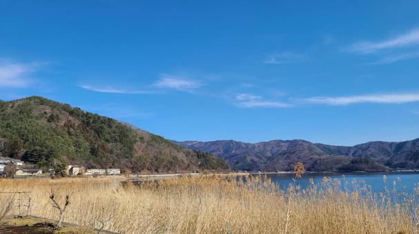 枯草と青空 河口湖,山,ススキの写真素材