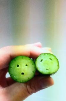 切り口が顔のキュウリ 切り口が顔のキュウリの写真