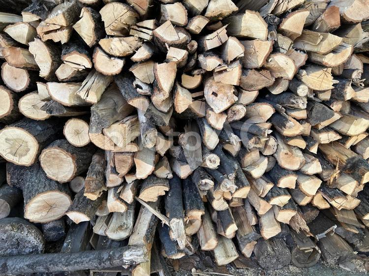 切りそろえられた薪木、焚き木 薪,木,材料の写真素材